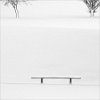 CATHY ROBERTS-BENCH & TWO TREES IN THE SNOW 